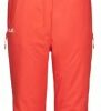 Купить Брюки горнолыжные Jack Wolfskin Big White Pants W 1111841-3032 38 Оранжевые (4060477272368)