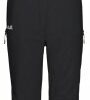 Купить Брюки горнолыжные Jack Wolfskin Big White Pants W 1111841-6000 38 Черные (4060477272559)