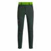 Купить Штани Salewa Pedroc Stormwall/Durastretch Softshell Mns Pant 0690 50/L зелений