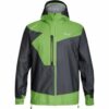Купить Куртка Salewa Pedroc 2 GTX ACT JKT 0912 50/L чорний/зелений