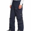 Купить Брюки горнолыжные Quiksilver Snow Travis Rice Stretch Navy Blazer