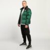 Купить Пуховик The North Face 1996 Nuptse TNF Green M