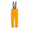 Купить Горнолыжные штаны DARE GTX Spyder 191026-733 M R Желтый (192636063846)