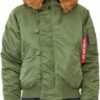 Купить Куртка Alpha Industries N-2B Parka 5XL Sage Green