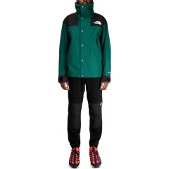 Купить Куртка The North Face 1990 GORE-TEX Mountain Jacket Green XL