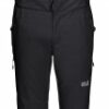 Купить Брюки горнолыжные Jack Wolfskin Big White Pants M 1112051-6000 50 Черные (4060477275994)