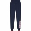 Купить Брюки спортивные Tommy Hilfiger TRACK PANT