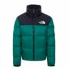 Купить Куртка мужская The North Face 1996 Retro Nuptse Jacket зеленая NF0A3C8DNL11 (XL)